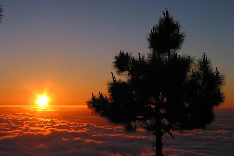 Las mejores puestas de sol de Tenerife