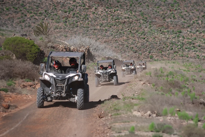 Descubre Guatiza y Mala en Buggy