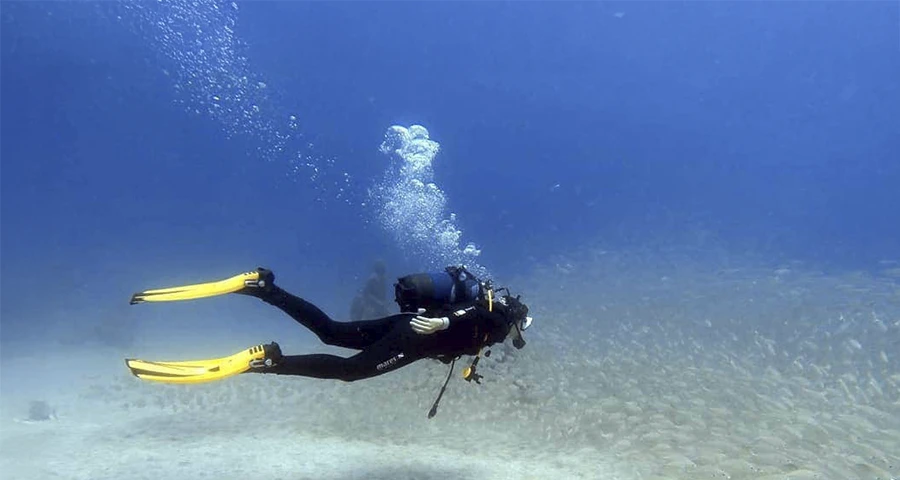 Bautismo de submarinismo en Abades: Descubre el Atlántico