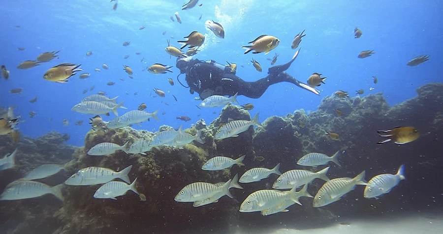 Primera experiencia de buceo en Lanzarote