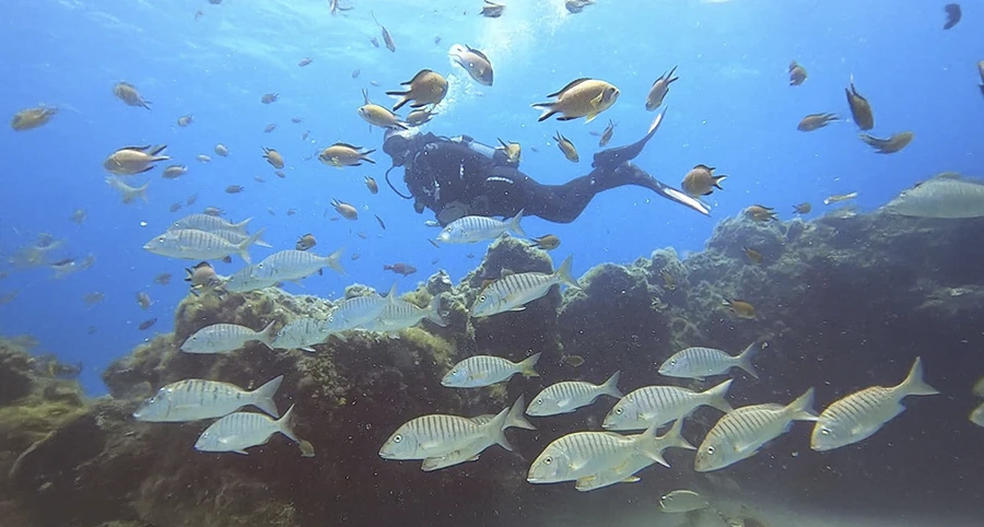 Experiencia PADI Discover Scuba Diving en Puerto del Carmen