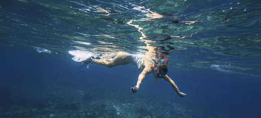 Snorkel en el Malpaís de Rasca: Navegación y Fauna Marina