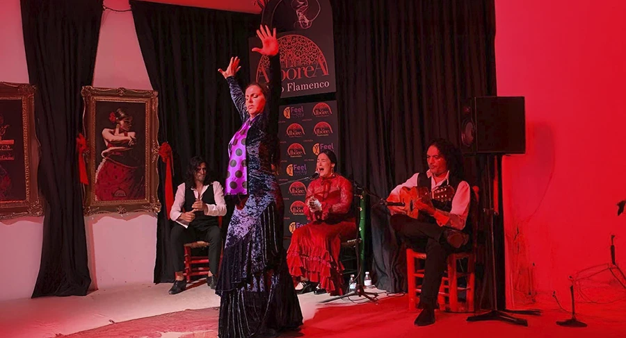 Flamenco en Granada: Tablao La Alboreá