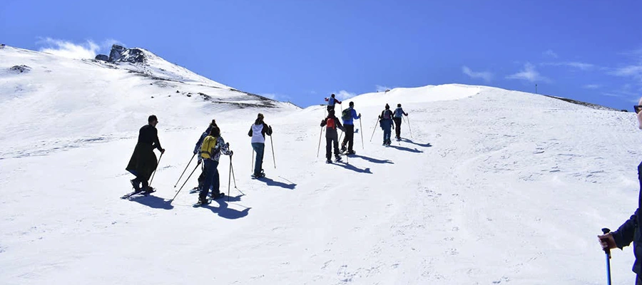 Excursión con raquetas de nieve en Sierra Nevada desde Granada