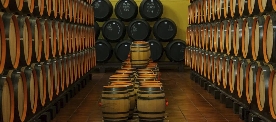 Secretos Enológicos: Tour guiado y degustación de vinos en Bodegas Quitapenas, Málaga