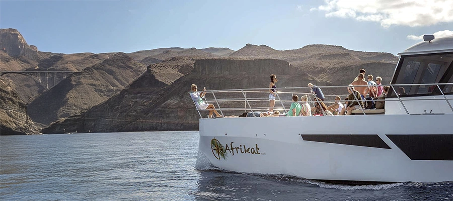 Catamarán: Traslado a Hotel, Barra Libre y Vistas Panorámicas de la Costa Sur