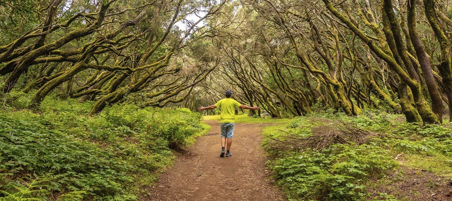 Caminata por el Parque Nacional de Garajonay y Ermita de Lourdes