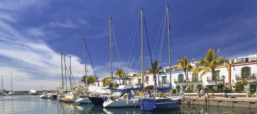 Excursión Cómoda a Puerto de Mogán y Mercadillo: Traslados de Lujo y Tiempo Libre Garantizado