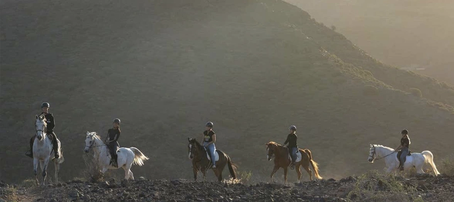 Paseo a Caballo Familiar por El Salobre: Aventura de 1 o 2 horas con Niños Gratis