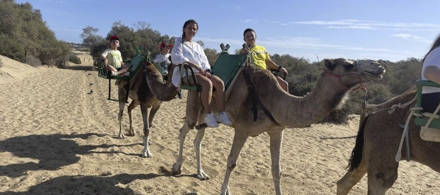 Maspalomas al natural: Exótico paseo de 30 minutos en camello por las dunas (Reserva Natural)