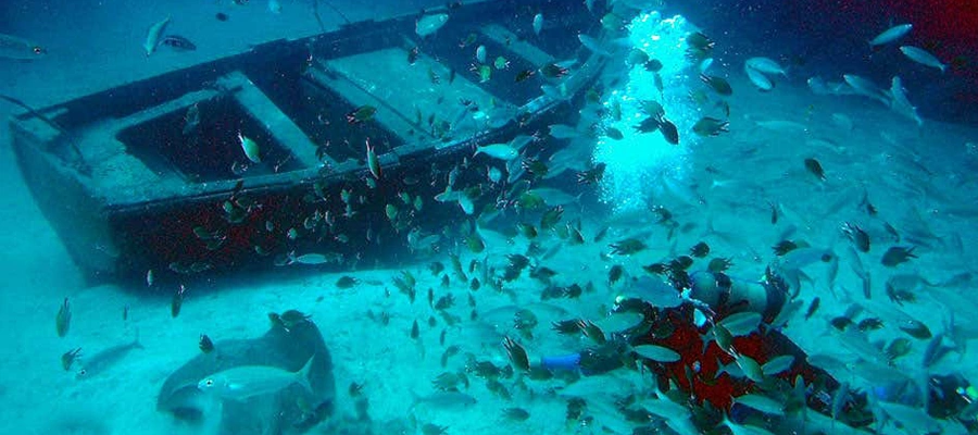 Submarino Panorámico en Tenerife: Fotografiando el Atlántico Profundo